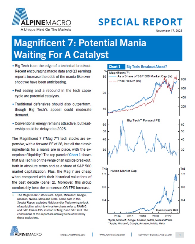 Magnificent 7: Potential Mania Waiting For A Catalyst